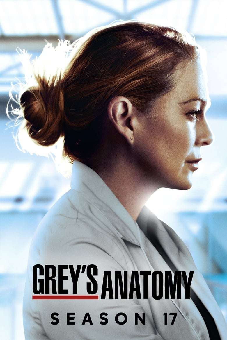 Grey’s Anatomy: Season 17